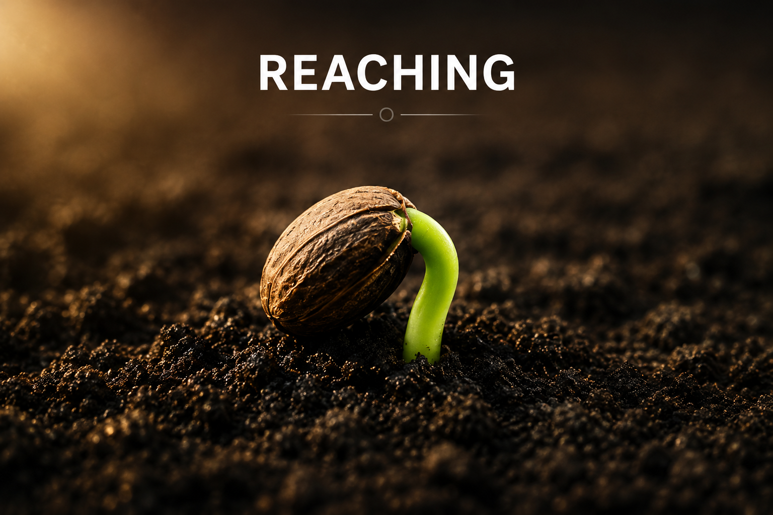 Reaching
